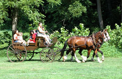 Stuff like carriage rides are just another great part of Saginaw.